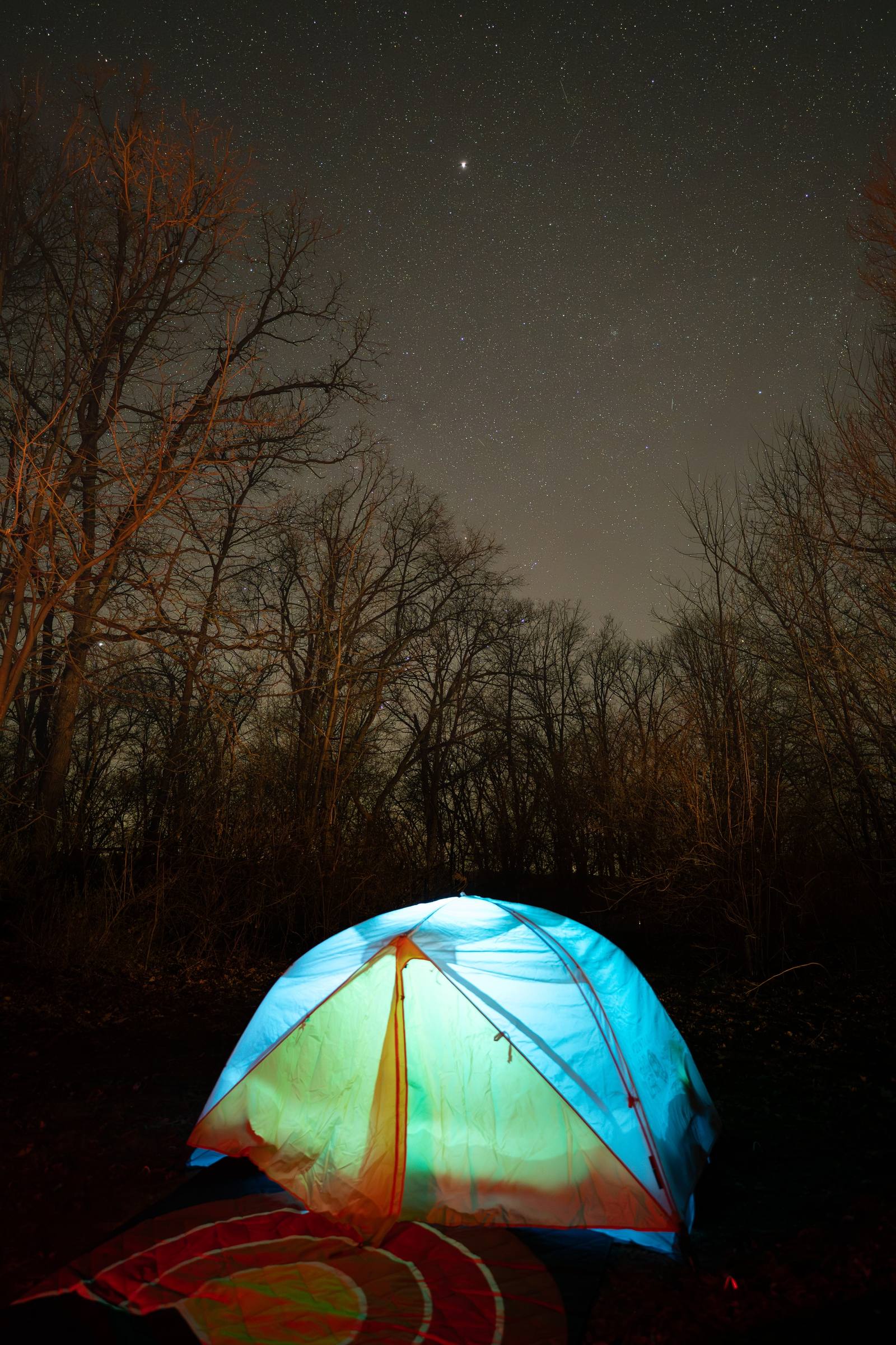 A lit tent glows beneath a starry night sky in the woods.