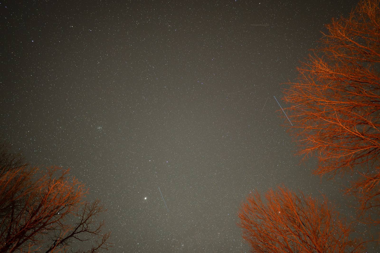 Stars fill a night sky framed by bare trees lit warm orange.
