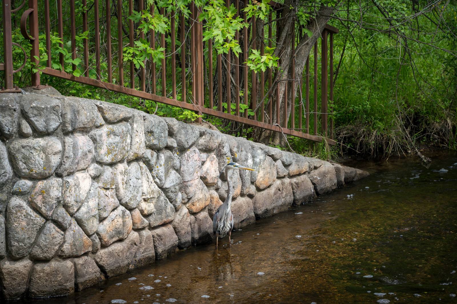 A stone retaining wall and wooden railing follow a narrow creek.
